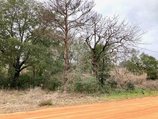 90w Defuniak Springs DeFuniak Springs, FL 32433 - Photo 5 of 6 a view of a yard with a tree