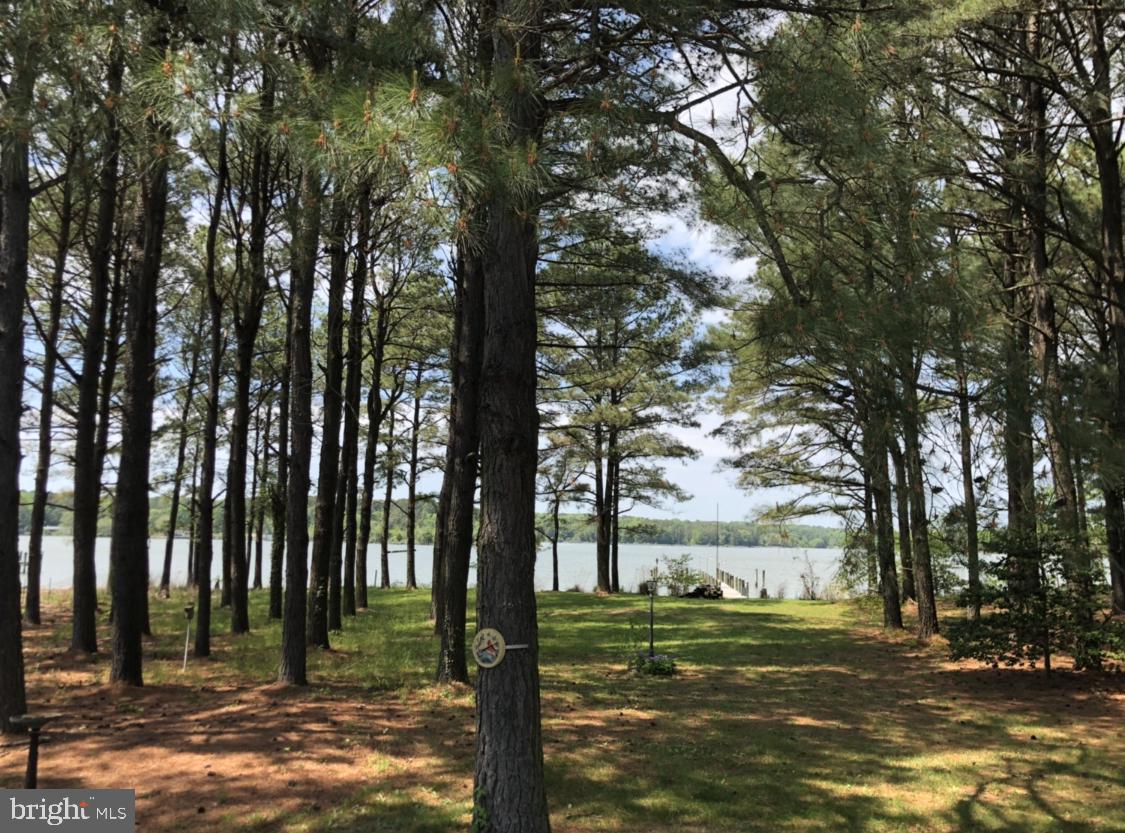 49898 Airedele Road Ridge, MD 20680 - Photo 2 of 30