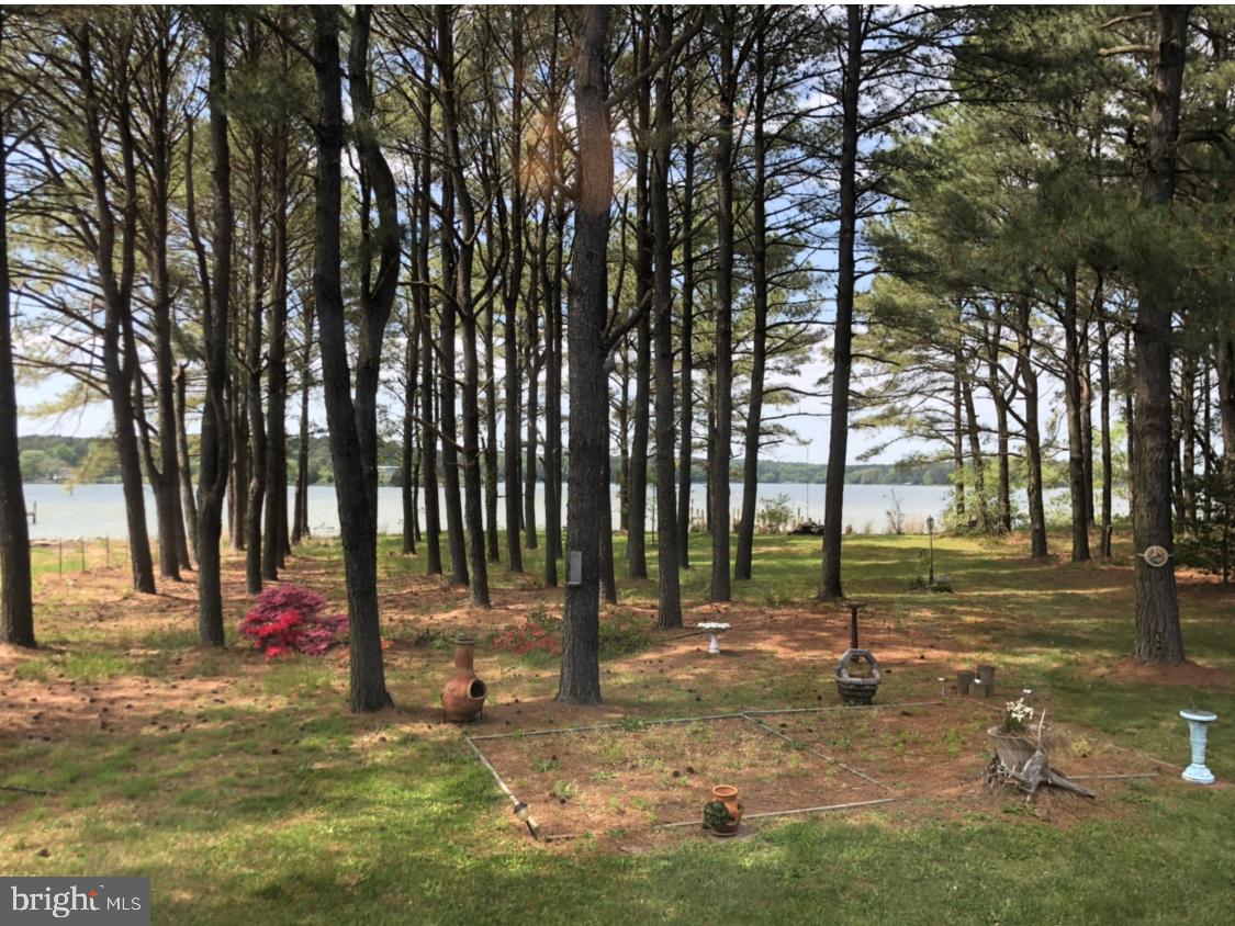 49898 Airedele Road Ridge, MD 20680 - Photo 26 of 30