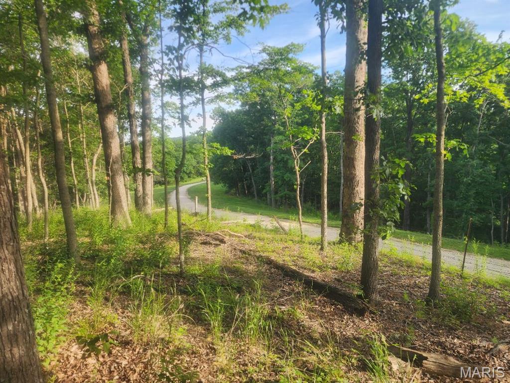 22206 Tree Farm Hermann, MO 65041 - Photo 6 of 9