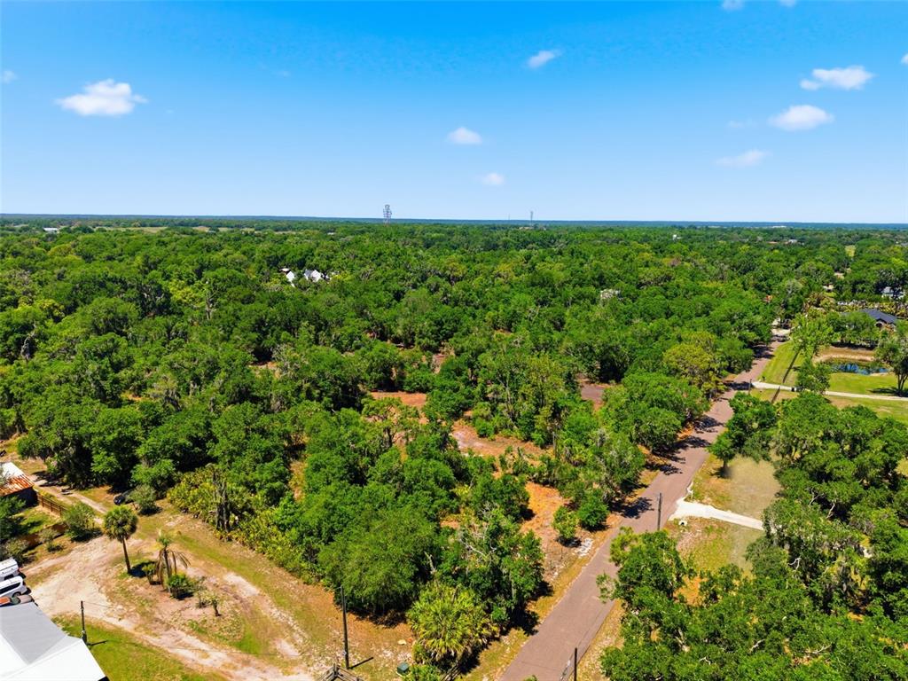 19084 Red Bird Lane, Unit LOT 2 Lithia, FL 33547 - Photo 10 of 20