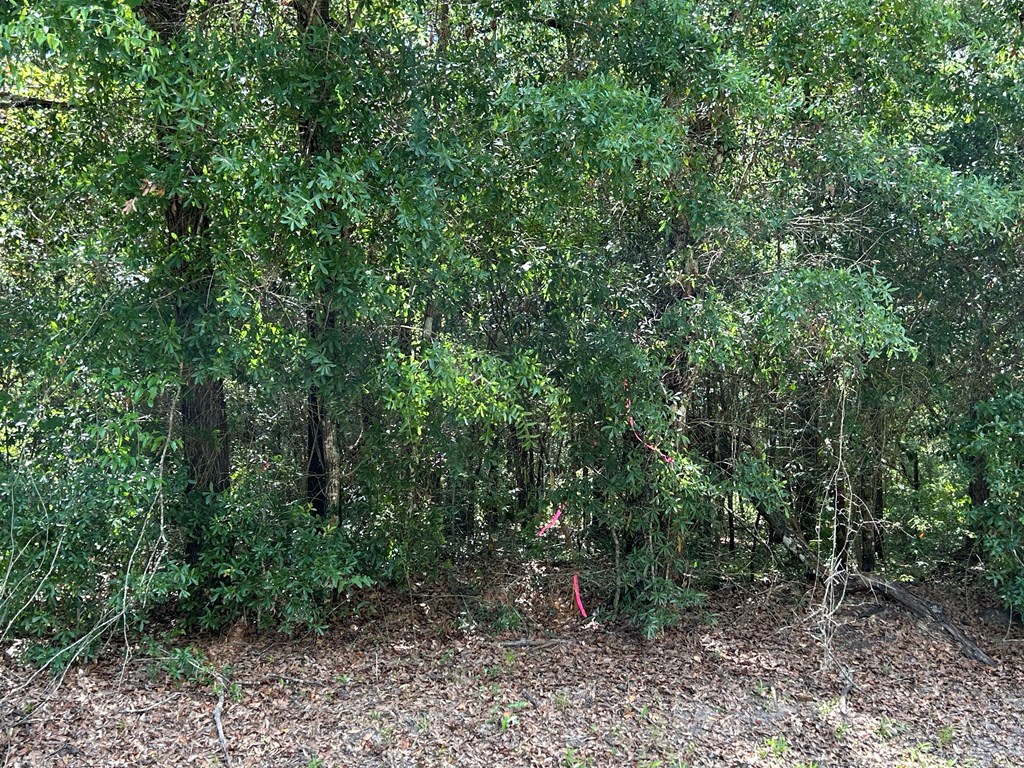 19.16-ac 19.16-ac Ramer Loop Cottonwood, AL 36320 - Photo 19 of 34
