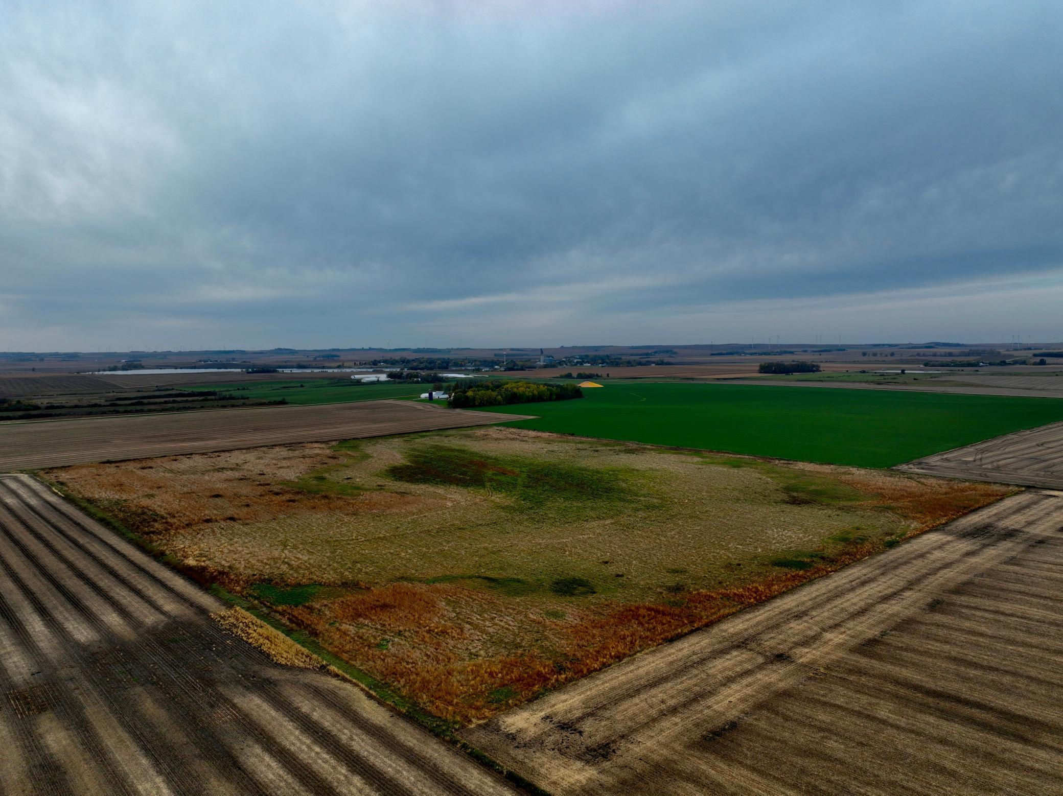 Tbd 121st Street Lake Wilson, MN 56151 - Photo 11 of 18
