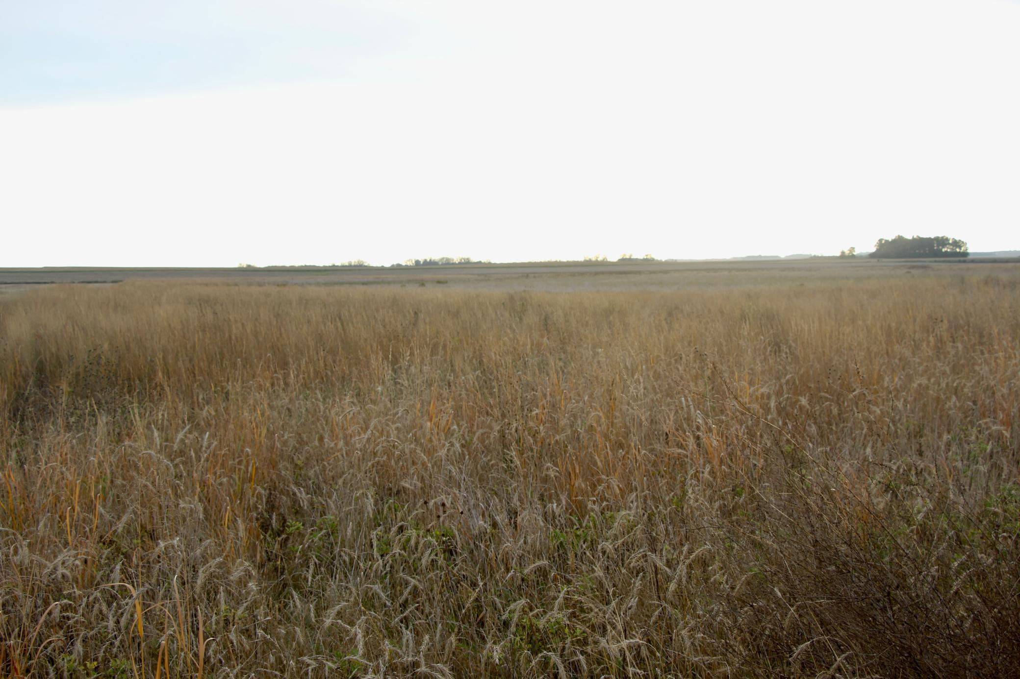 Tbd 121st Street Lake Wilson, MN 56151 - Photo 12 of 18