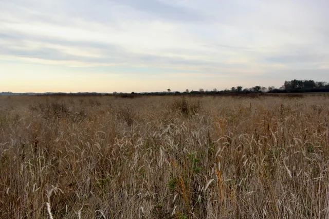 $160,000 | Tbd Tbd 121st Street, Lake Wilson, MN 56151