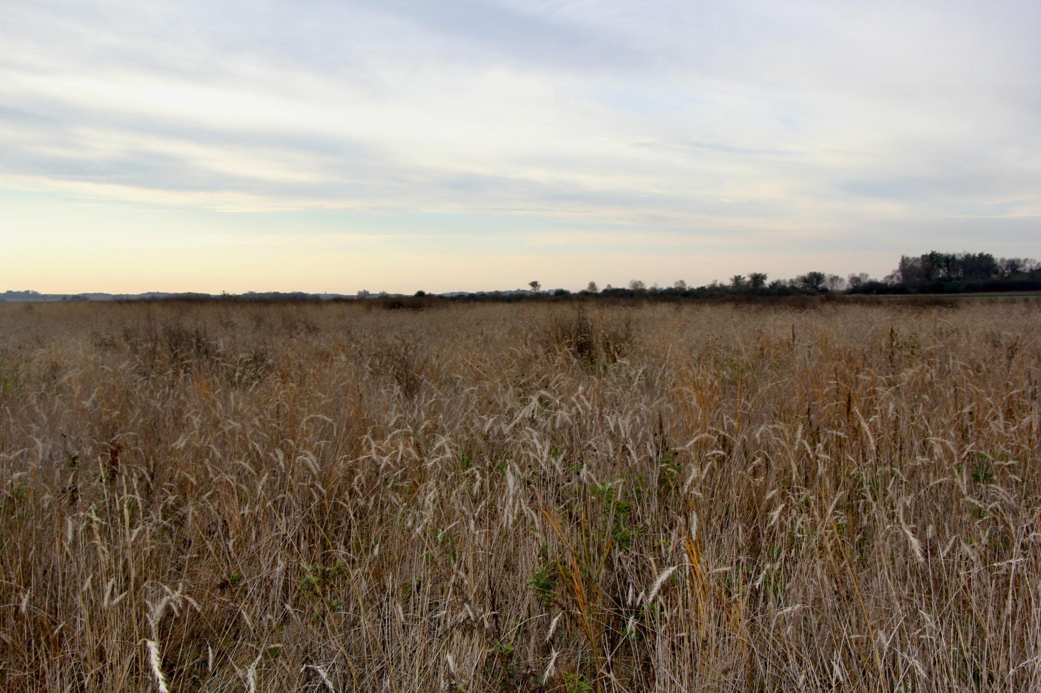 Tbd 121st Street Lake Wilson, MN 56151 - Photo 13 of 18