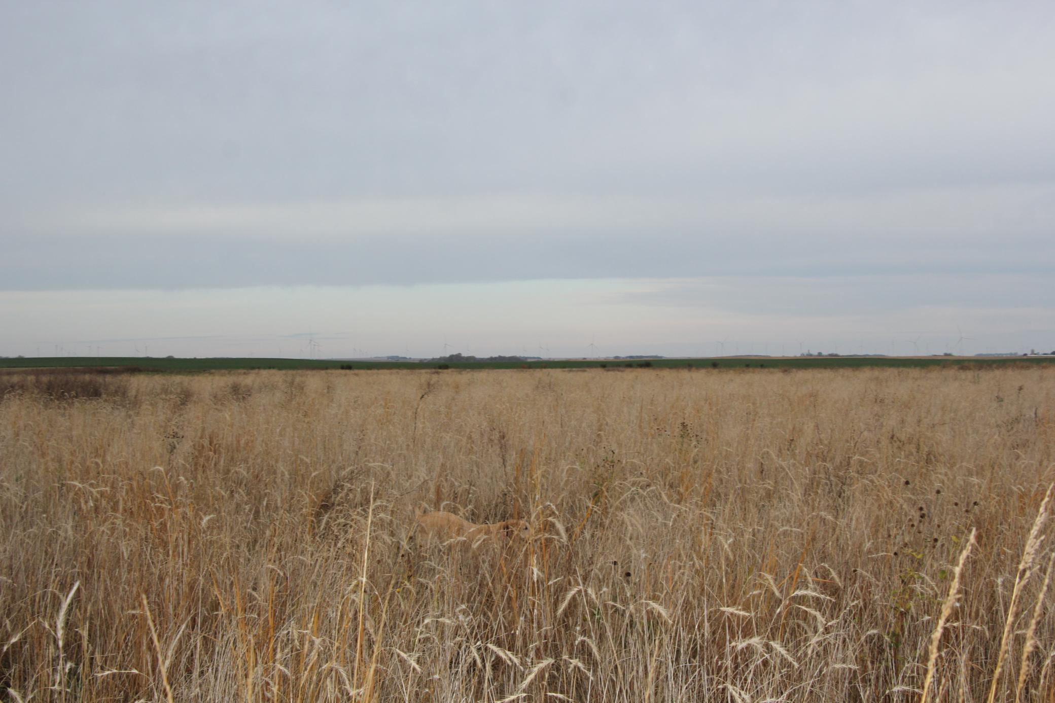 Tbd 121st Street Lake Wilson, MN 56151 - Photo 14 of 18