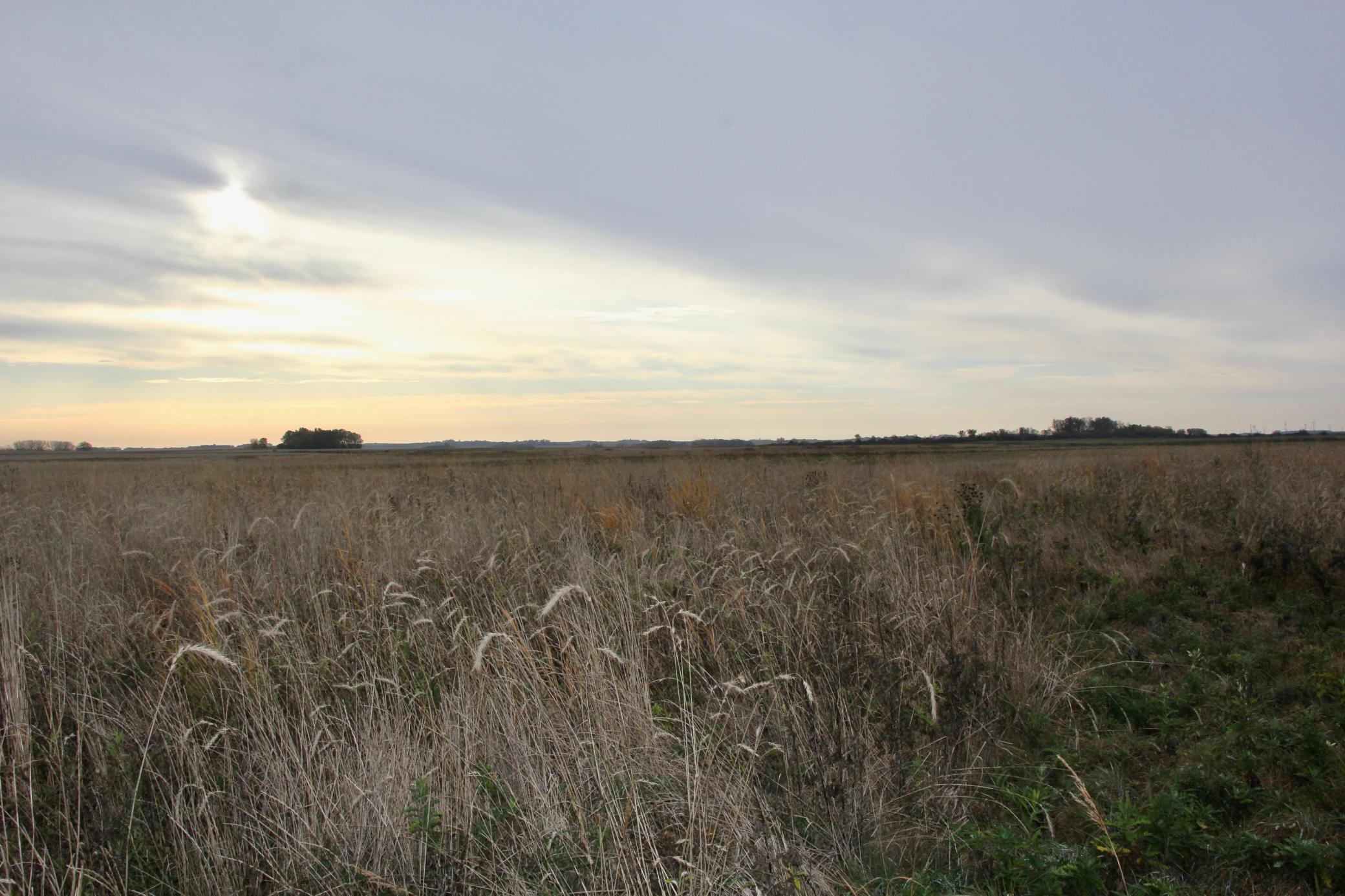 Tbd 121st Street Lake Wilson, MN 56151 - Photo 15 of 18