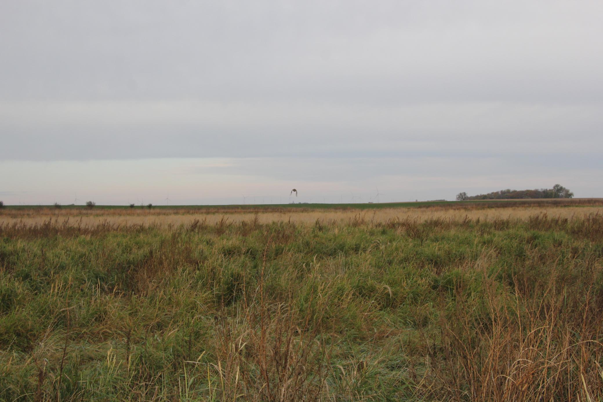 Tbd 121st Street Lake Wilson, MN 56151 - Photo 3 of 18