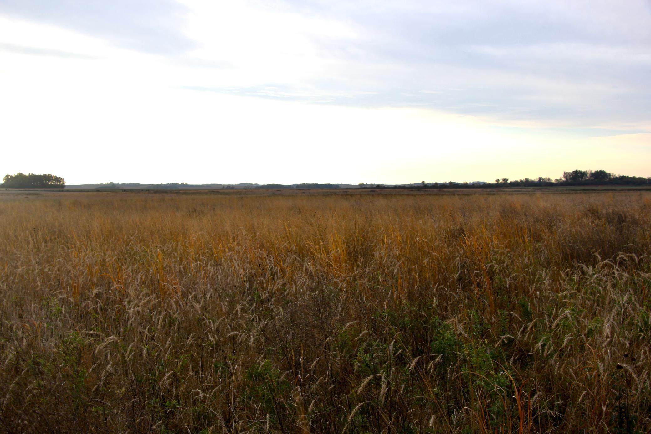 Tbd 121st Street Lake Wilson, MN 56151 - Photo 4 of 18