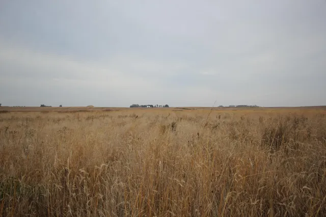 $160,000 | Tbd Tbd 121st Street, Lake Wilson, MN 56151