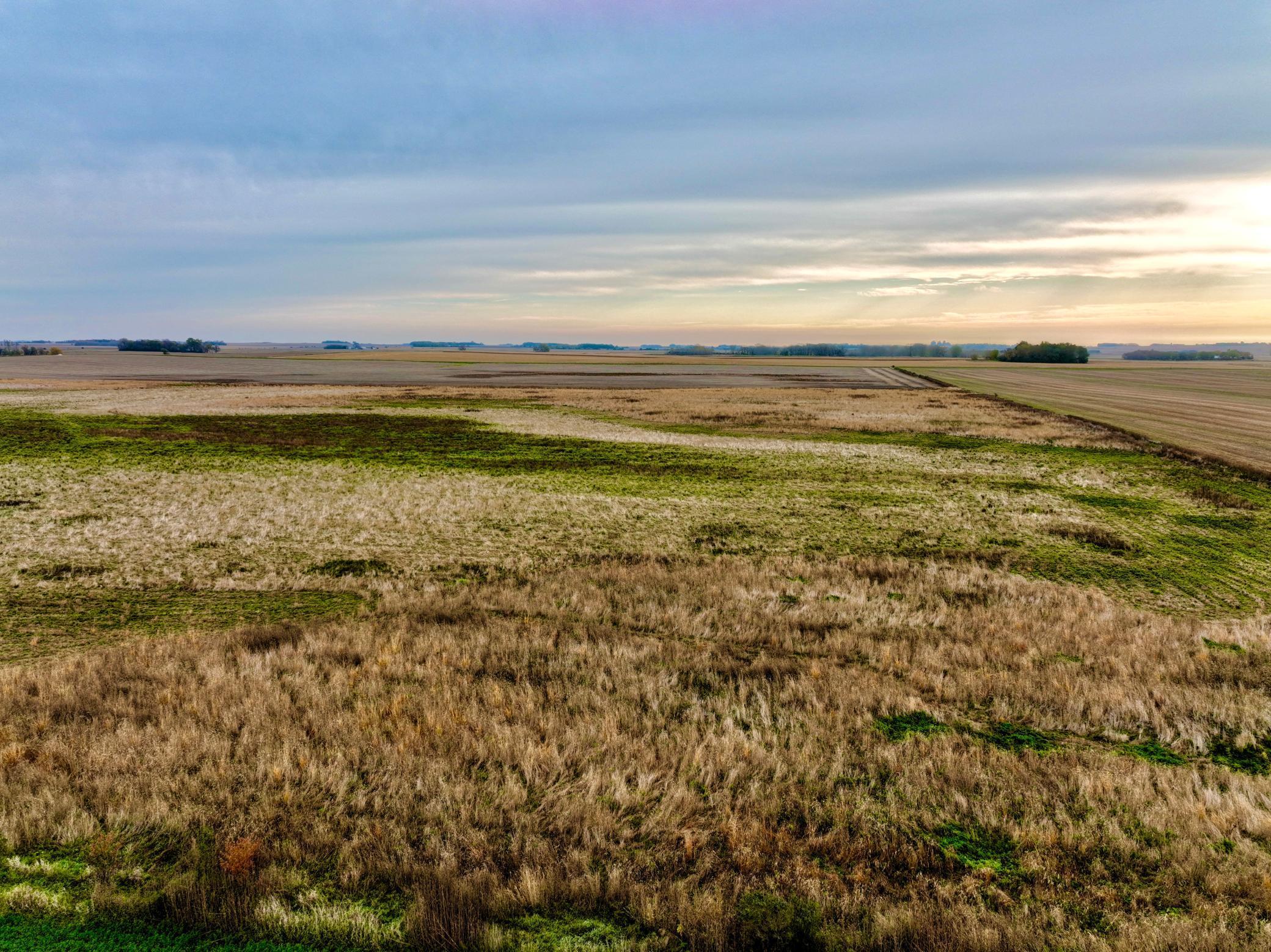 Tbd 121st Street Lake Wilson, MN 56151 - Photo 7 of 18