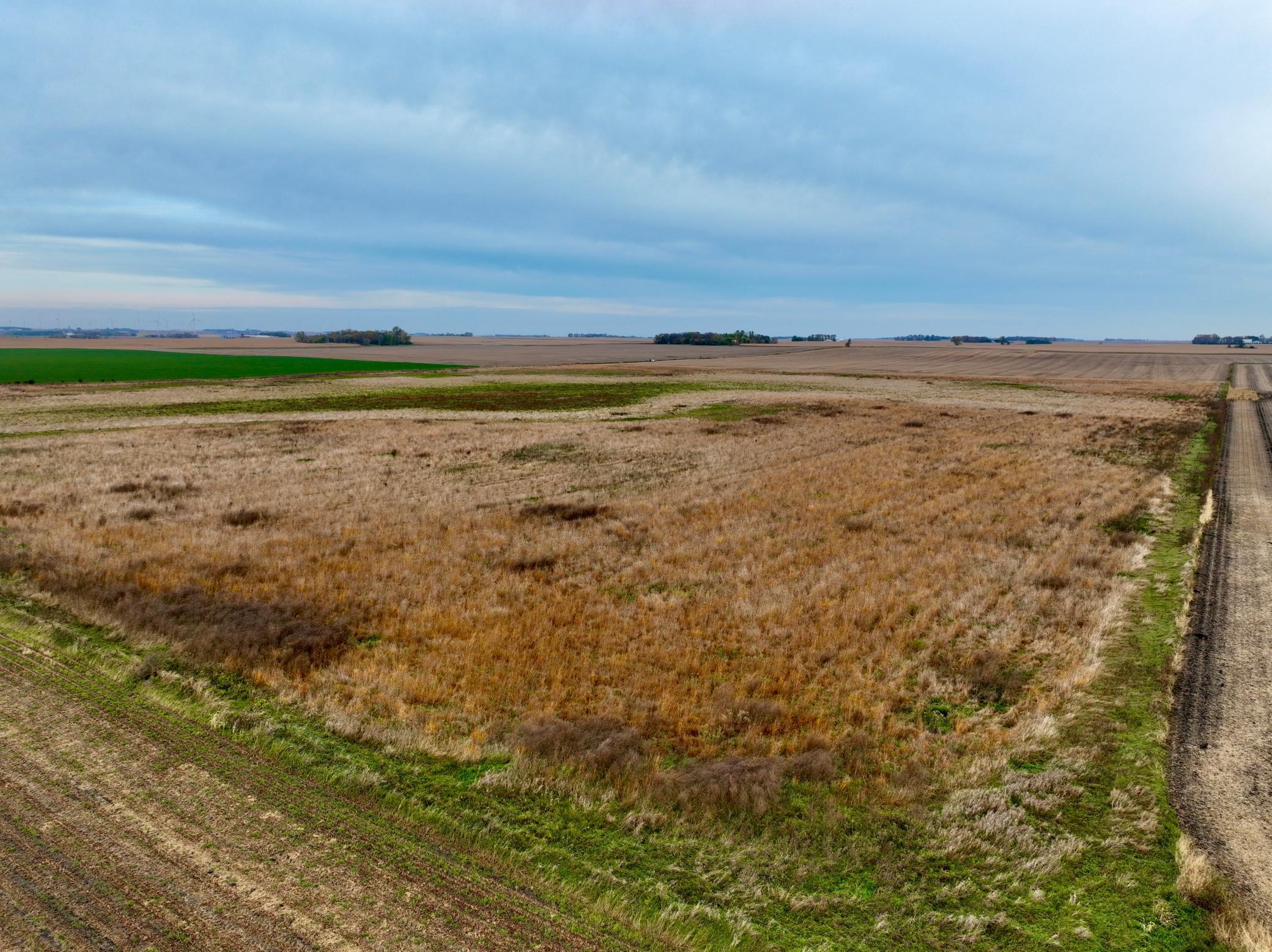 Tbd 121st Street Lake Wilson, MN 56151 - Photo 9 of 18