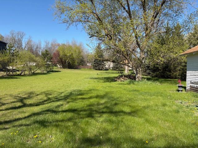 1010 Highway 71 Browerville, MN 56438 - Photo 4 of 20