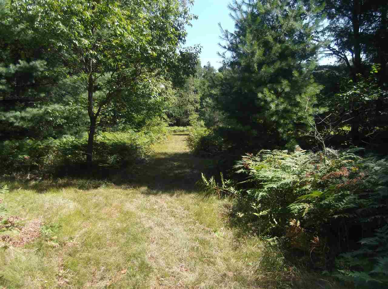 5818 Curtis Road Hale, MI 48739 - Photo 35 of 36 1878683-34.JPG