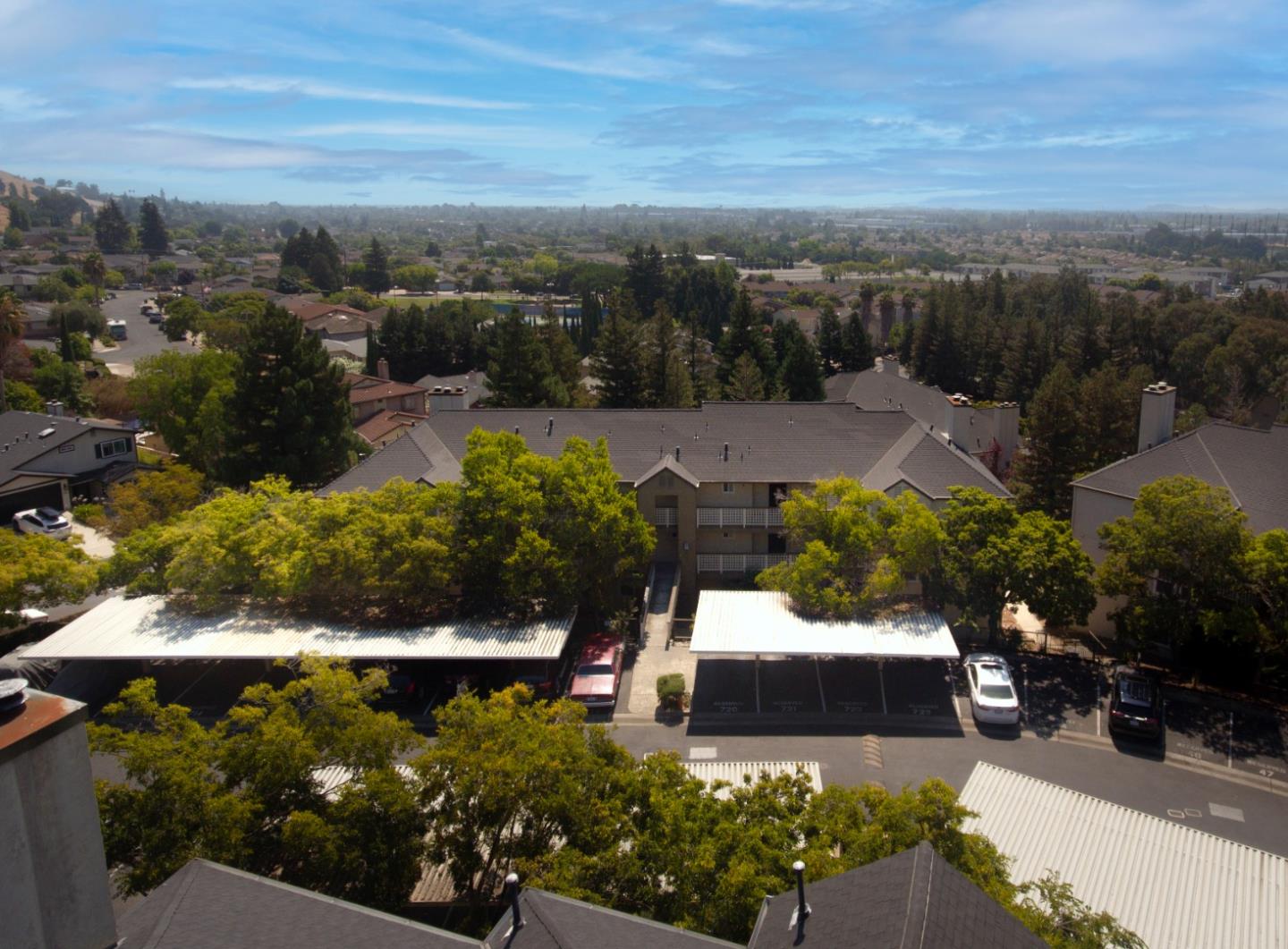 29581 Highgate Drive, Unit 219 Hayward, CA 94544 - Photo 24 of 24 a view of a garden with patio