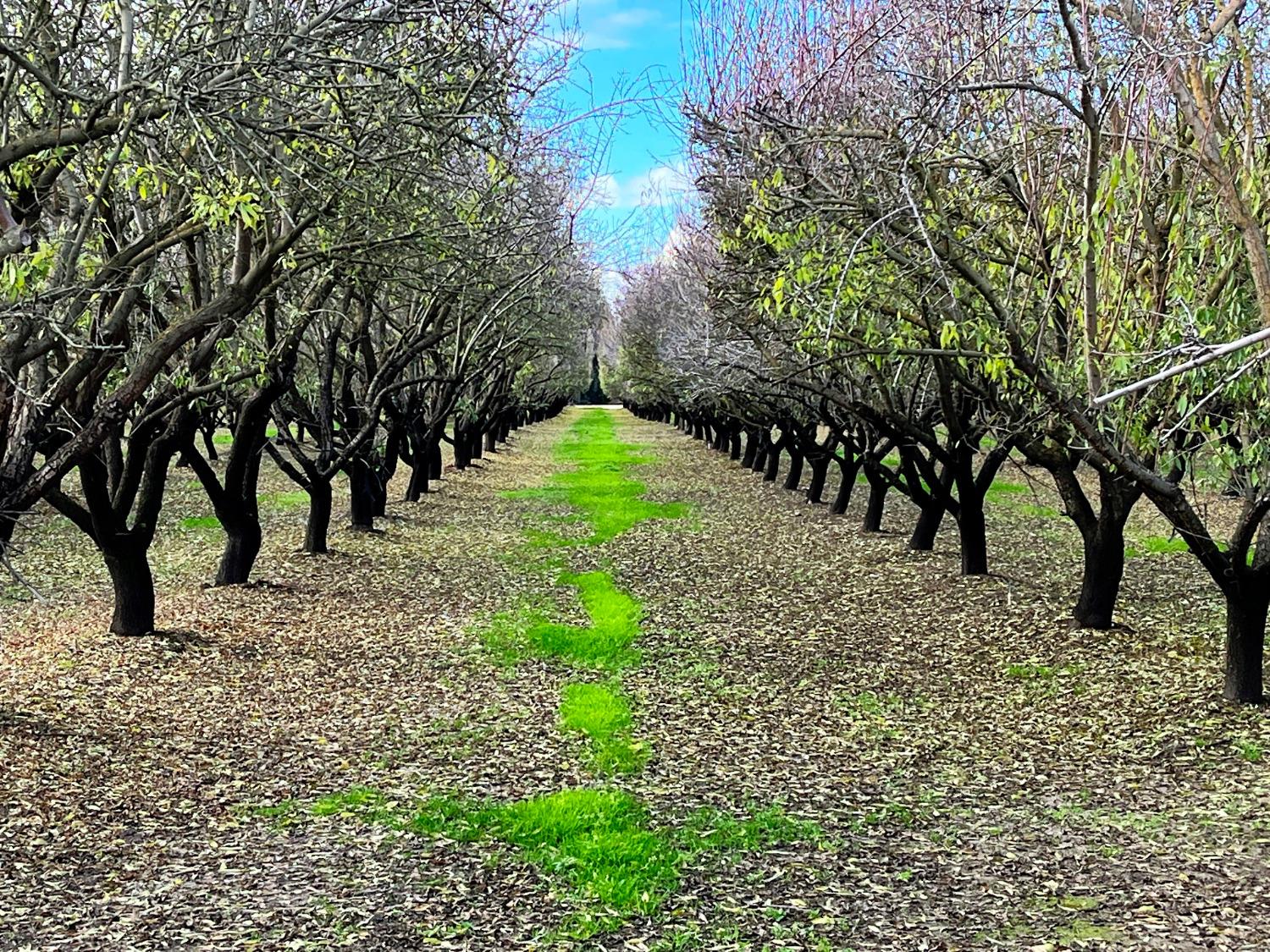 0 Eucalyptus Avenue Winton, CA 95388 - Photo 12 of 23 a view of outdoor space