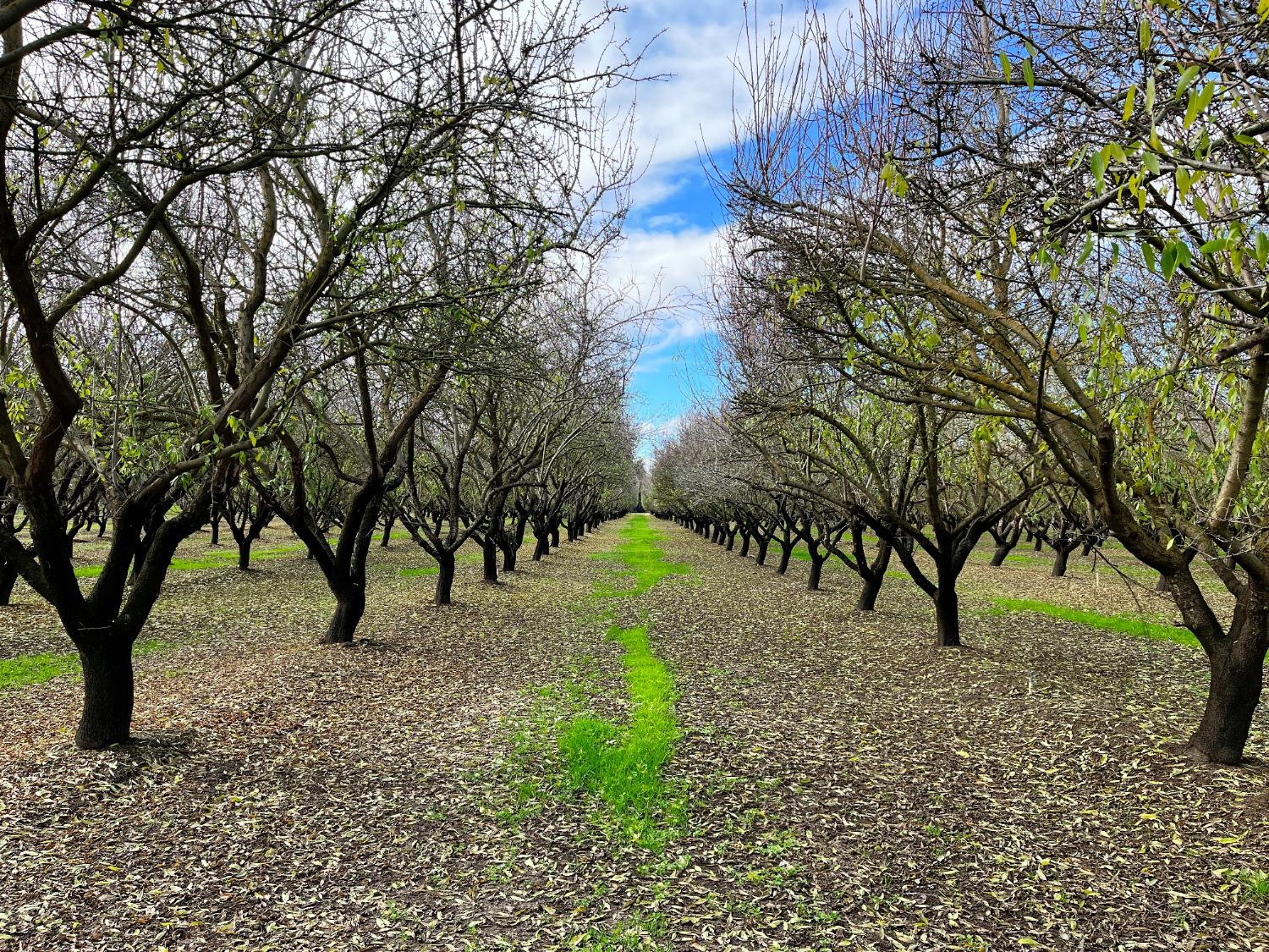 0 Eucalyptus Avenue Winton, CA 95388 - Photo 14 of 23 a view of swimming pool with a yard