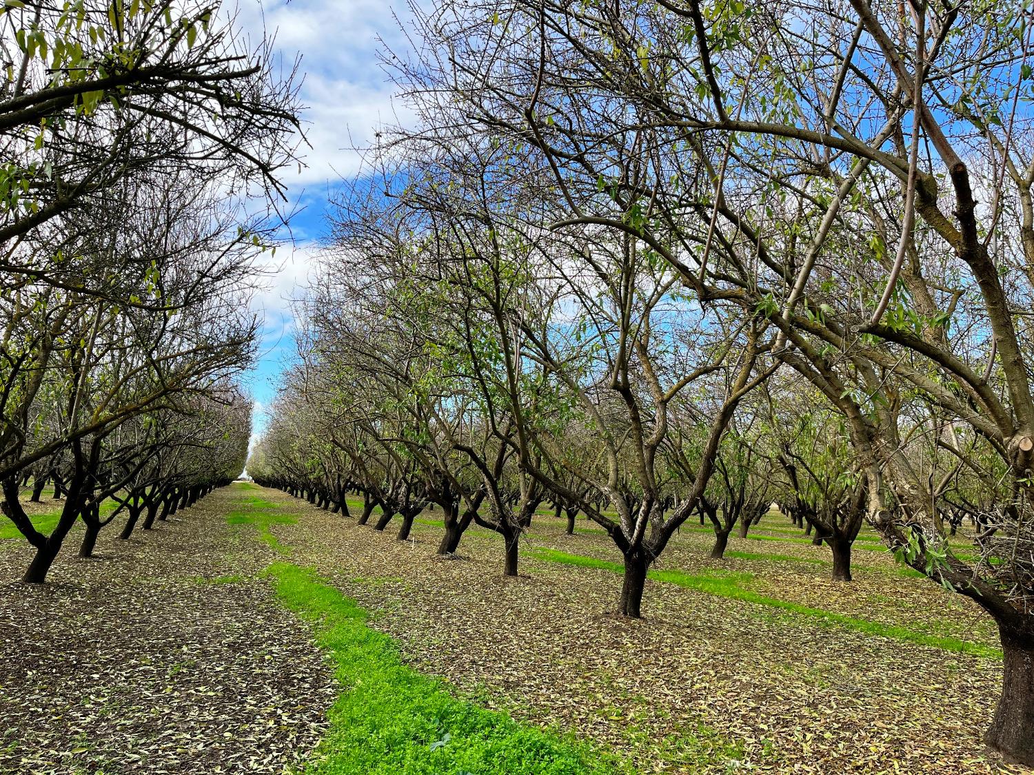 0 Eucalyptus Avenue Winton, CA 95388 - Photo 15 of 23 a view of an outdoor space with yard