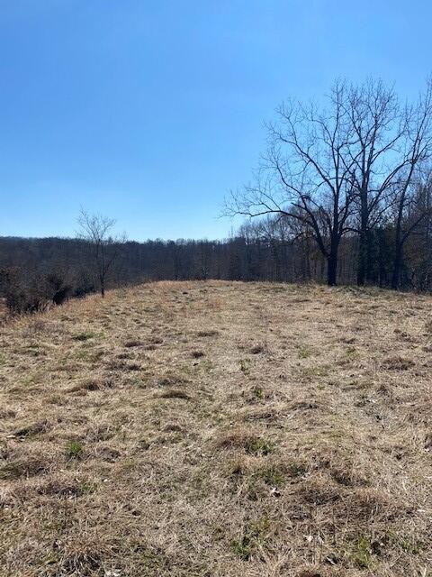 1 Reeder Town Road Byrdstown, TN 38549 - Photo 1 of 4 a view of wooden wall