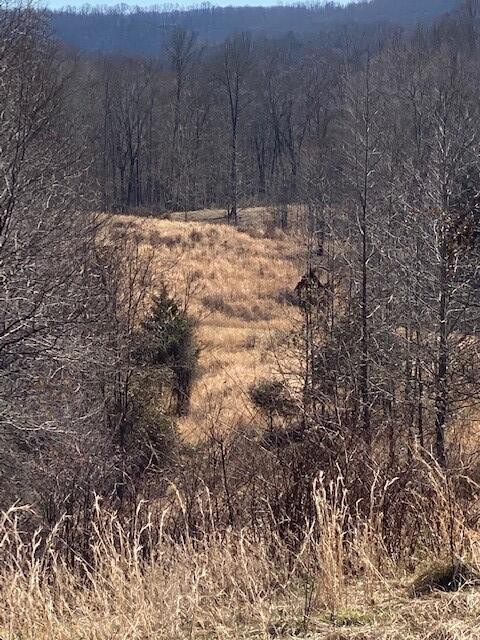 1 Reeder Town Road Byrdstown, TN 38549 - Photo 2 of 4 a view of a backyard of the house