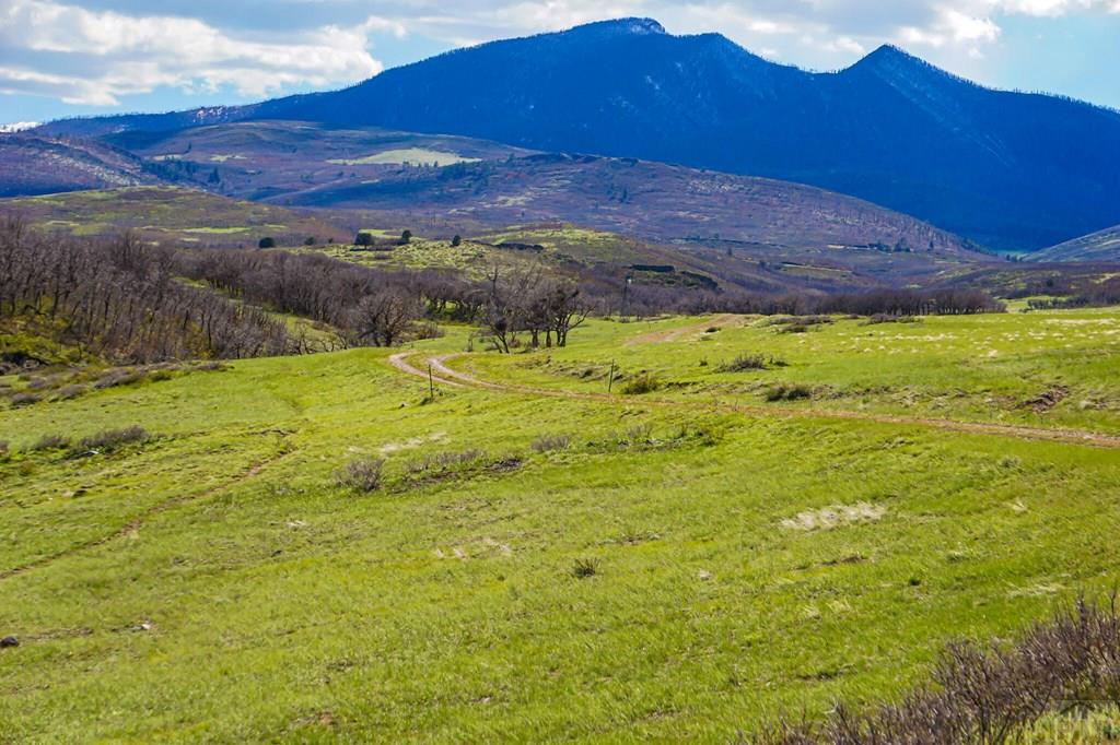 Tbd Tbd Rilling Canyon Road La Veta, CO 81055 - Photo 30 of 33