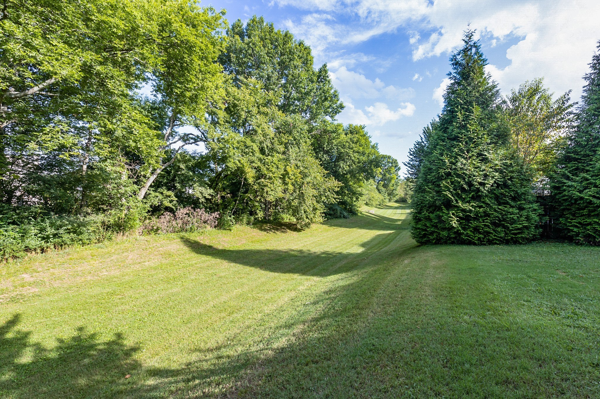 3021 Romain Trail Spring Hill, TN 37174 - Photo 28 of 30