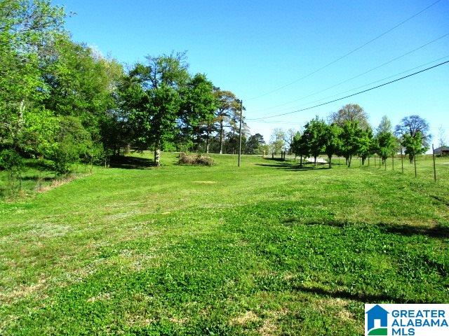 6971 Highway 24 Oneonta, AL 35121 - Photo 5 of 45