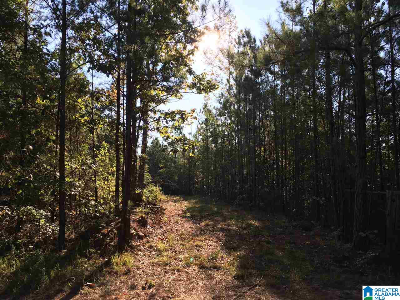 220 Gant Road, Unit 106 AC Pell City, AL 35128 - Photo 21 of 23