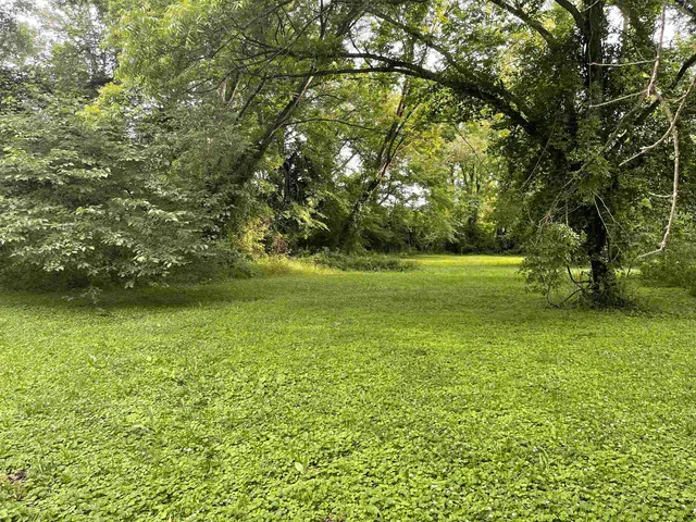 a view of a field with an trees