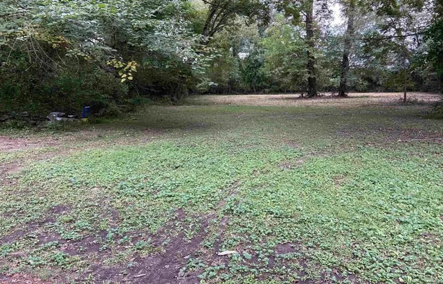a view of a lush green space