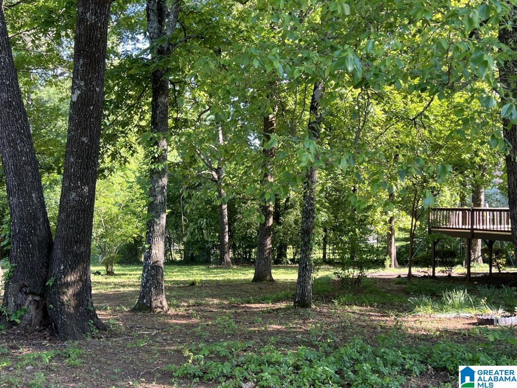 140 Port South Lane Alabaster, AL 35007 - Photo 5 of 31