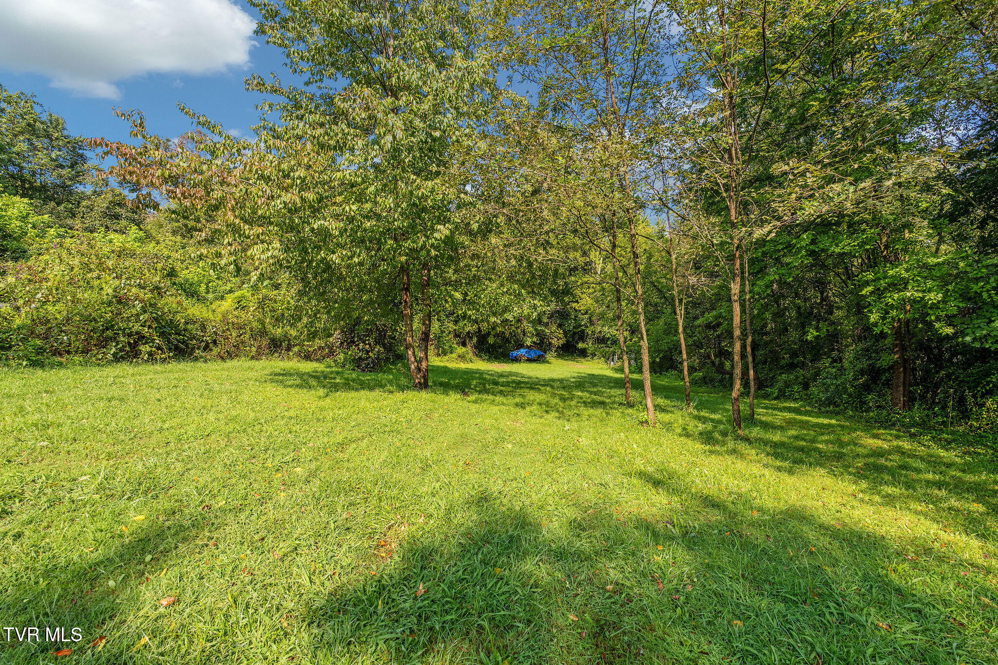 217 Opie Arnold Road Limestone, TN 37681 - Photo 46 of 58 DSC08297