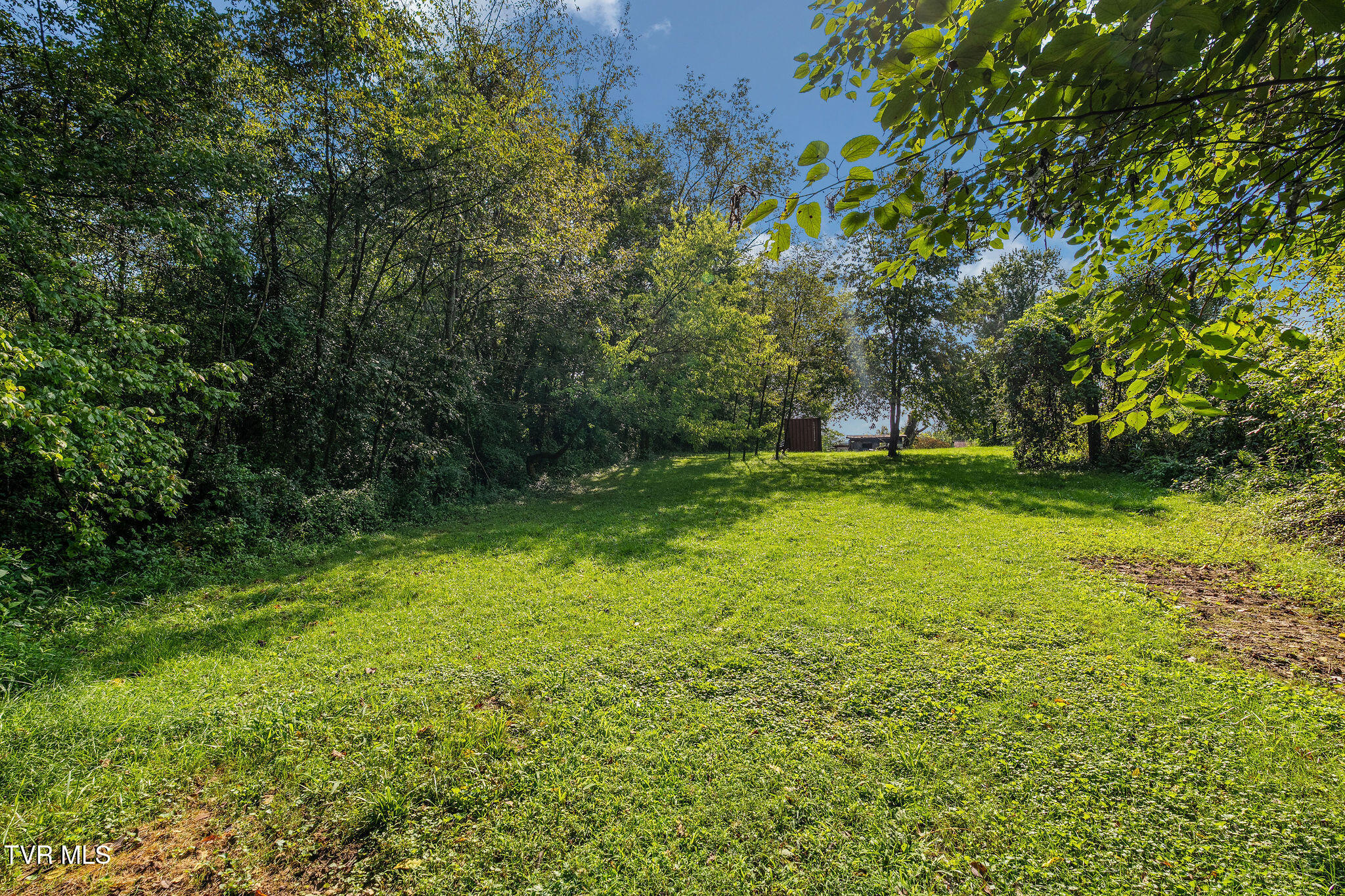 217 Opie Arnold Road Limestone, TN 37681 - Photo 47 of 58 DSC08300