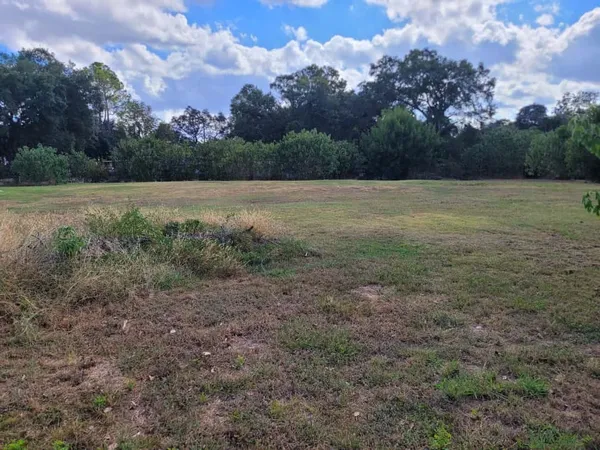 a view of a field with trees in background