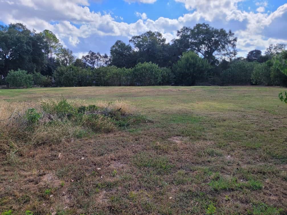 1504 Radio Lane Rosenberg, TX 77471 - Photo 5 of 7 a view of a field with trees in background