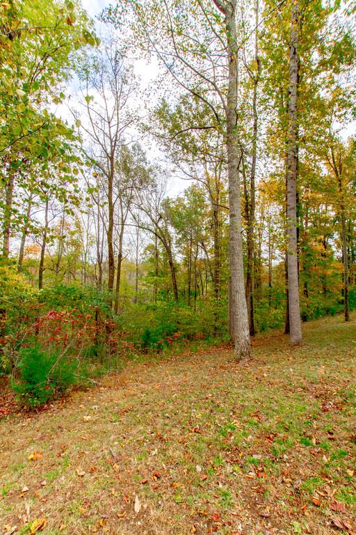 1727 Walden Ridge Road Manchester, TN 37355 - Photo 27 of 29 a view of a yard with trees