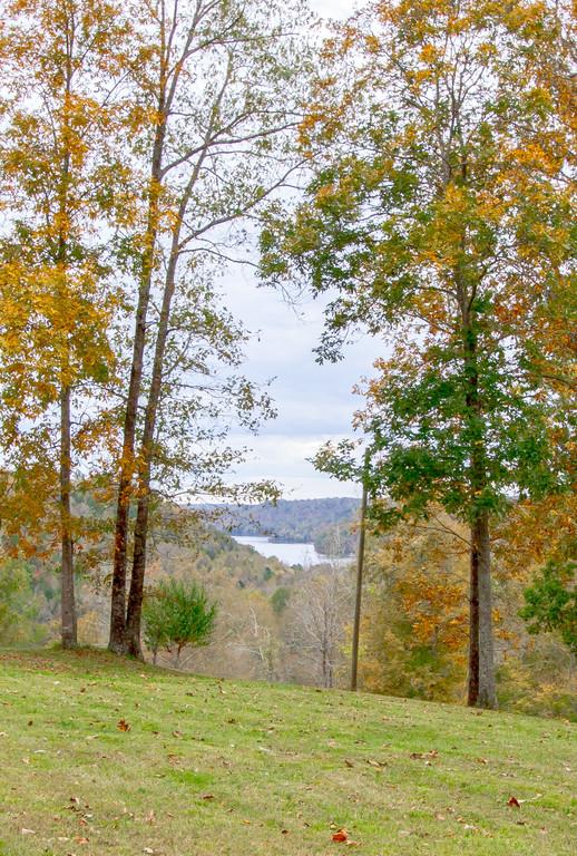 1727 Walden Ridge Road Manchester, TN 37355 - Photo 28 of 29 a view of a yard with an trees