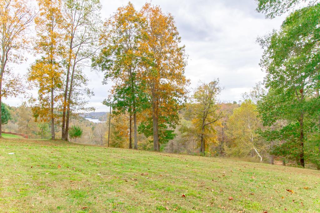 1727 Walden Ridge Road Manchester, TN 37355 - Photo 29 of 29 a backyard of apartments with large trees