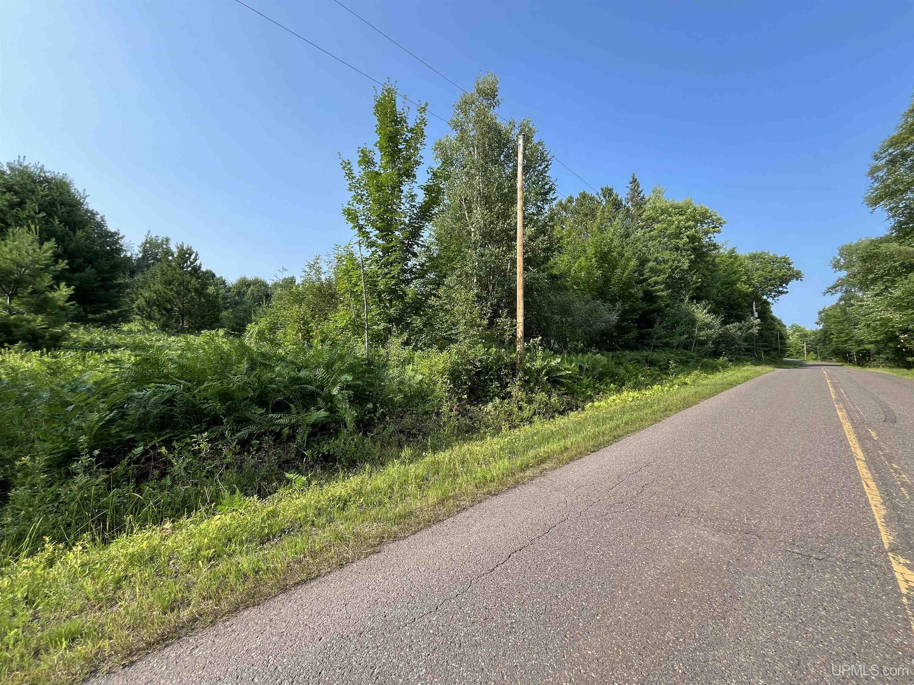 Tbd1 Lower Point Mills Road Dollar Bay, MI 49922 - Photo 7 of 19 Gallery Image 7