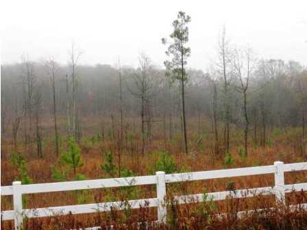 0 Old Alabama Road, Unit 21 McDonald, TN 37353 - Photo 1 of 1 Primary Photo
