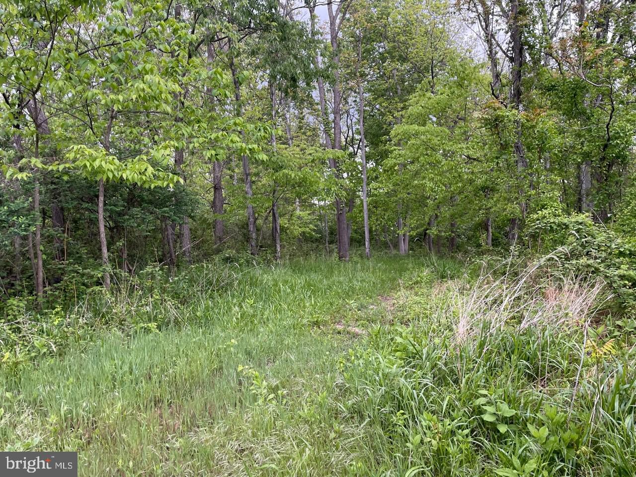 Lot 7 Jamestown Rd Summit Point Summit Point, WV 25446 - Photo 15 of 15