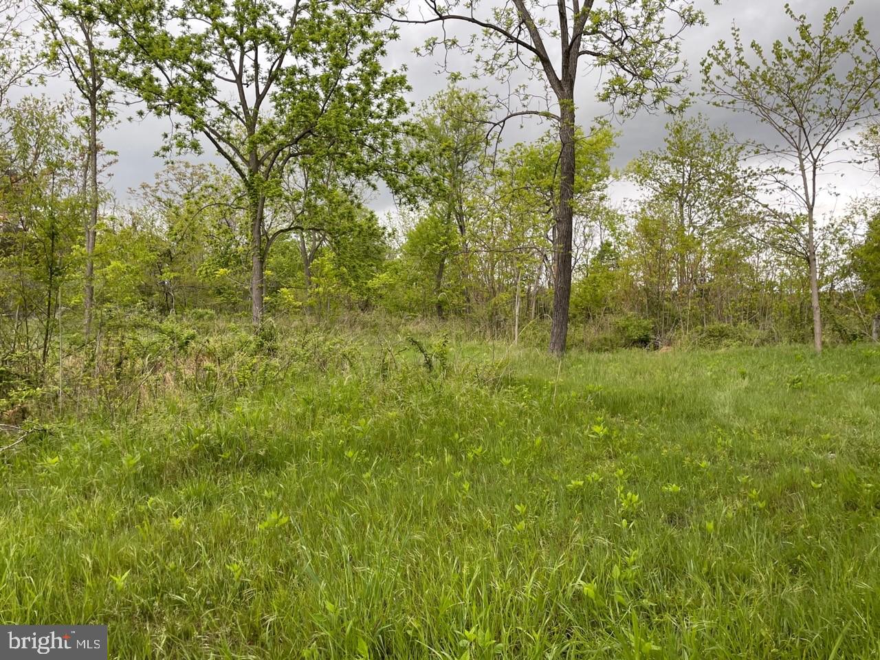 Lot 7 Jamestown Rd Summit Point Summit Point, WV 25446 - Photo 3 of 15