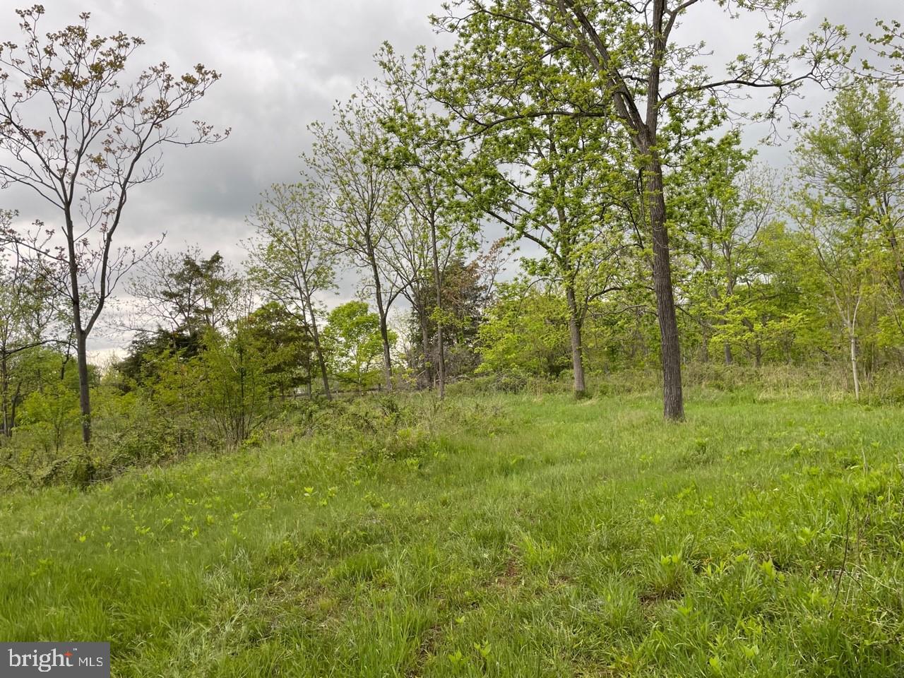 Lot 7 Jamestown Rd Summit Point Summit Point, WV 25446 - Photo 4 of 15