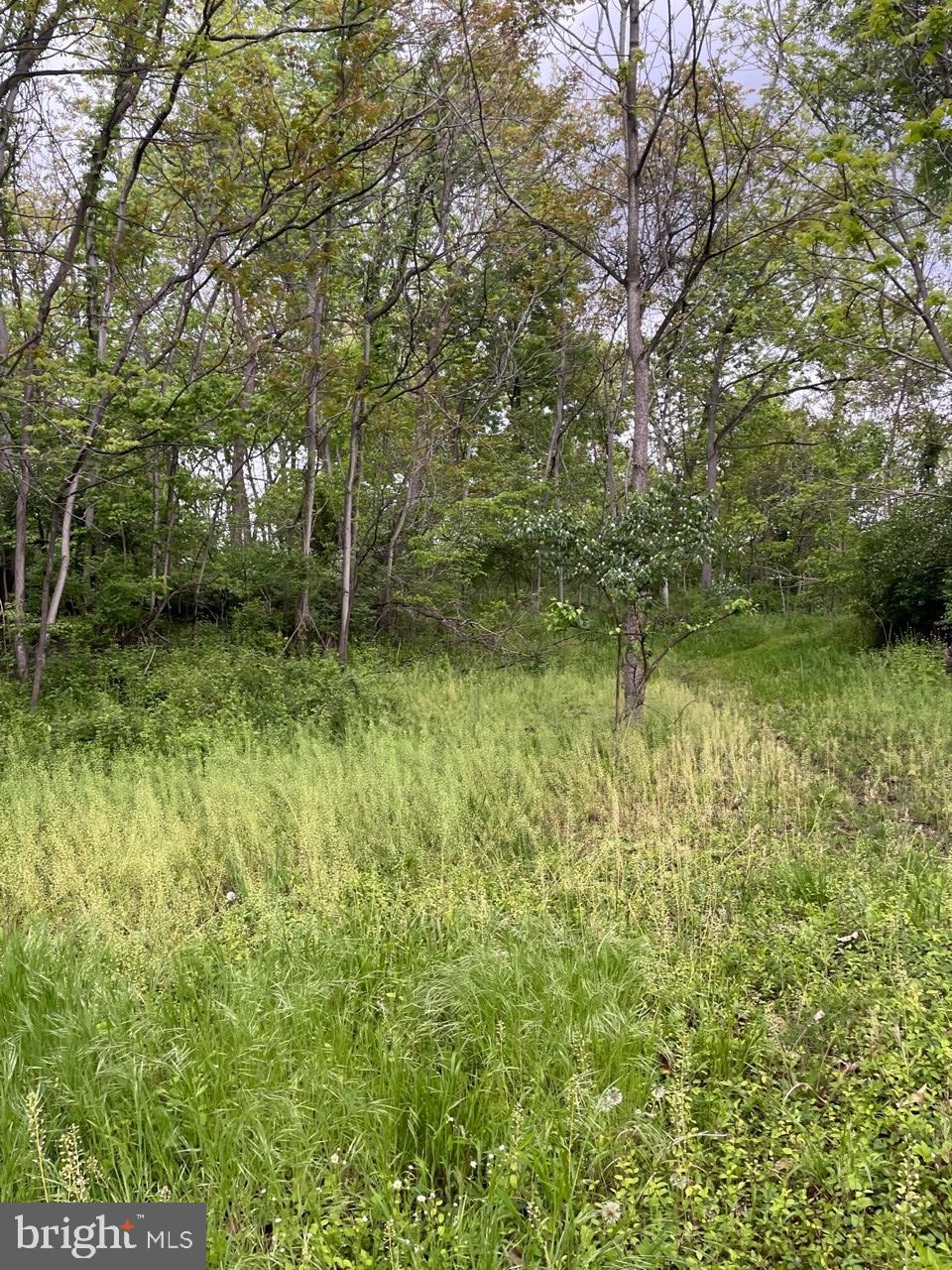 Lot 7 Jamestown Rd Summit Point Summit Point, WV 25446 - Photo 6 of 15