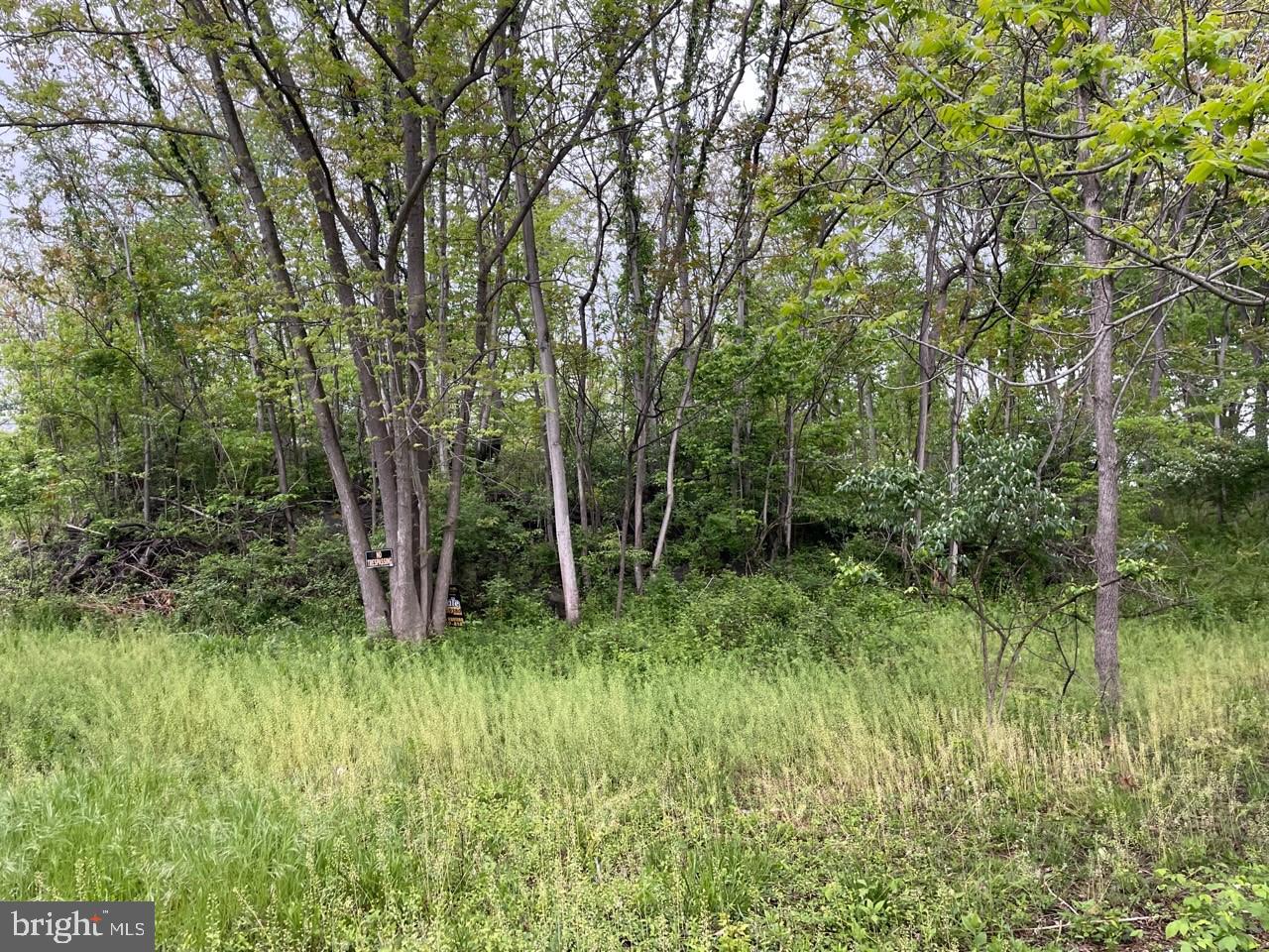 Lot 7 Jamestown Rd Summit Point Summit Point, WV 25446 - Photo 7 of 15