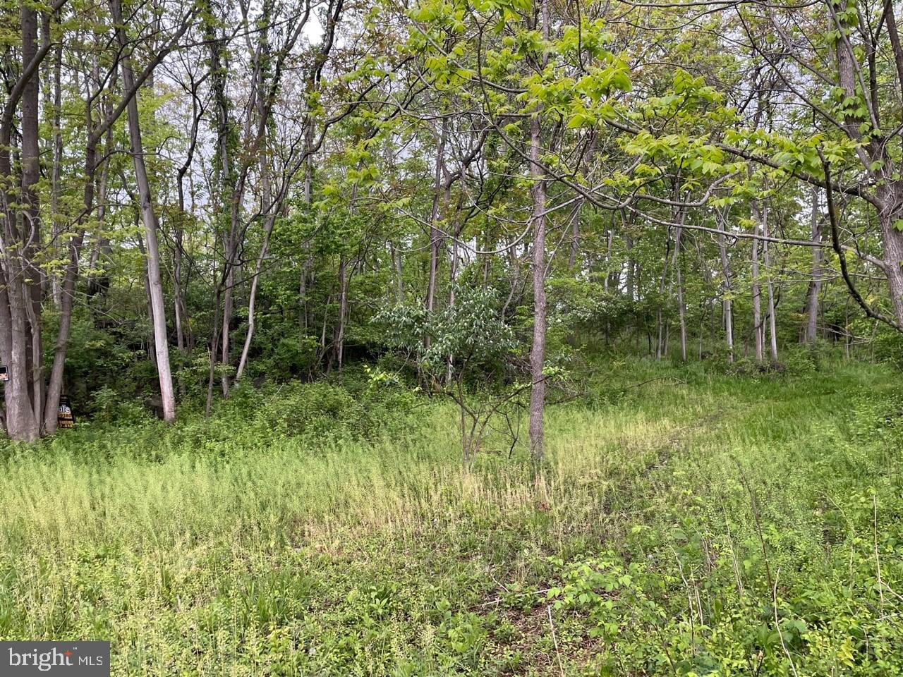 Lot 7 Jamestown Rd Summit Point Summit Point, WV 25446 - Photo 8 of 15