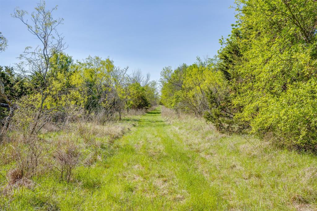 Tbd Teague Road Jacksboro, TX 76458 - Photo 30 of 33 a view of outdoor space and trees