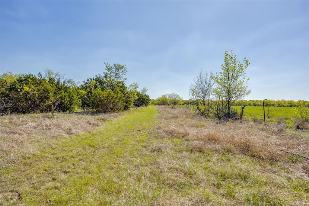 Tbd Teague Road Jacksboro, TX 76458 - Photo 31 of 33 a view of a yard