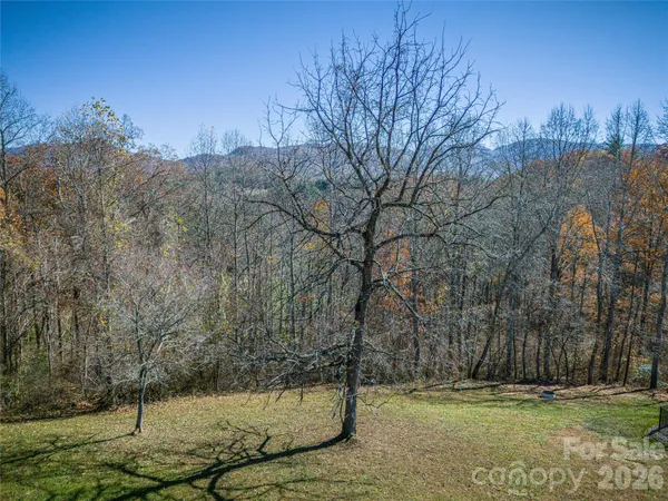 a view of a field with trees in the background